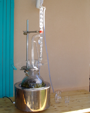 Leccion-1-3a-Destilacion-por-arrastre-de-vapor