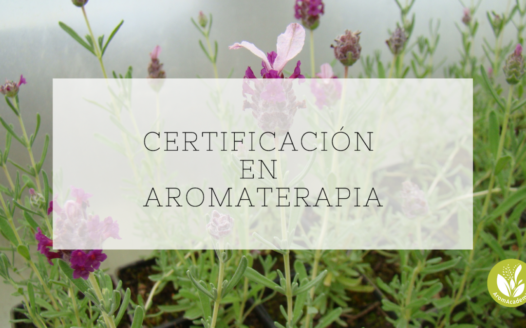 Razones para tener una certificación en aromaterapia