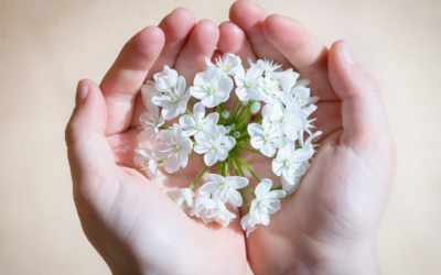 ¿Por qué las flores y sus aceites esenciales nos hacen sentir tan bien?  La ciencia tiene la respuesta